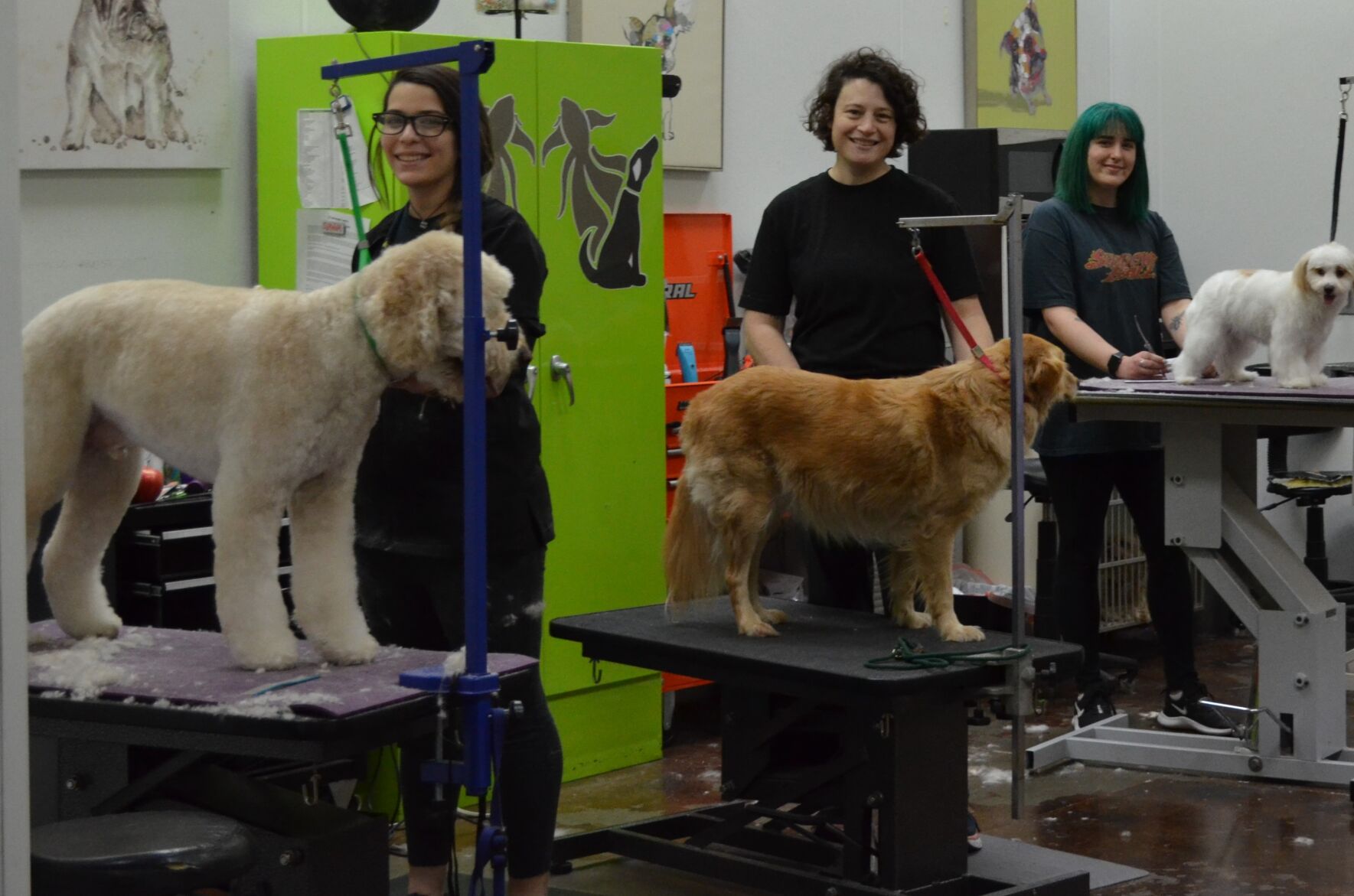 groomers 2.JPG